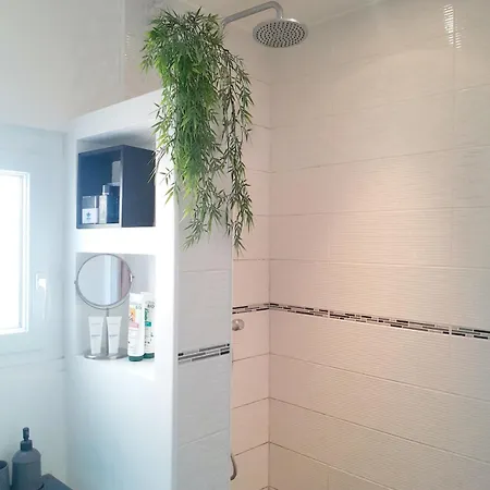Apartment Ideal